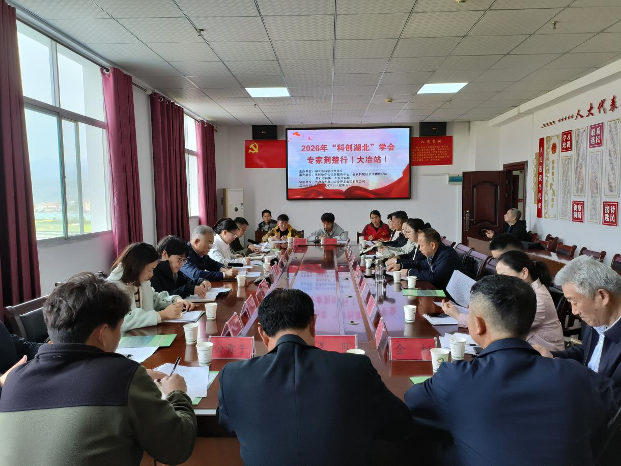 1774842113570020783.jpg 圖片4.jpg