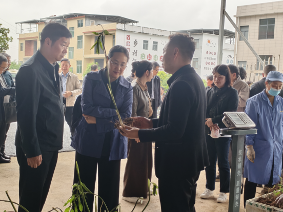 送審新聞稿0411--2026年“科創湖北”學會專家荊楚行走進咸寧  助力大健康產業創新發展(2)185.png