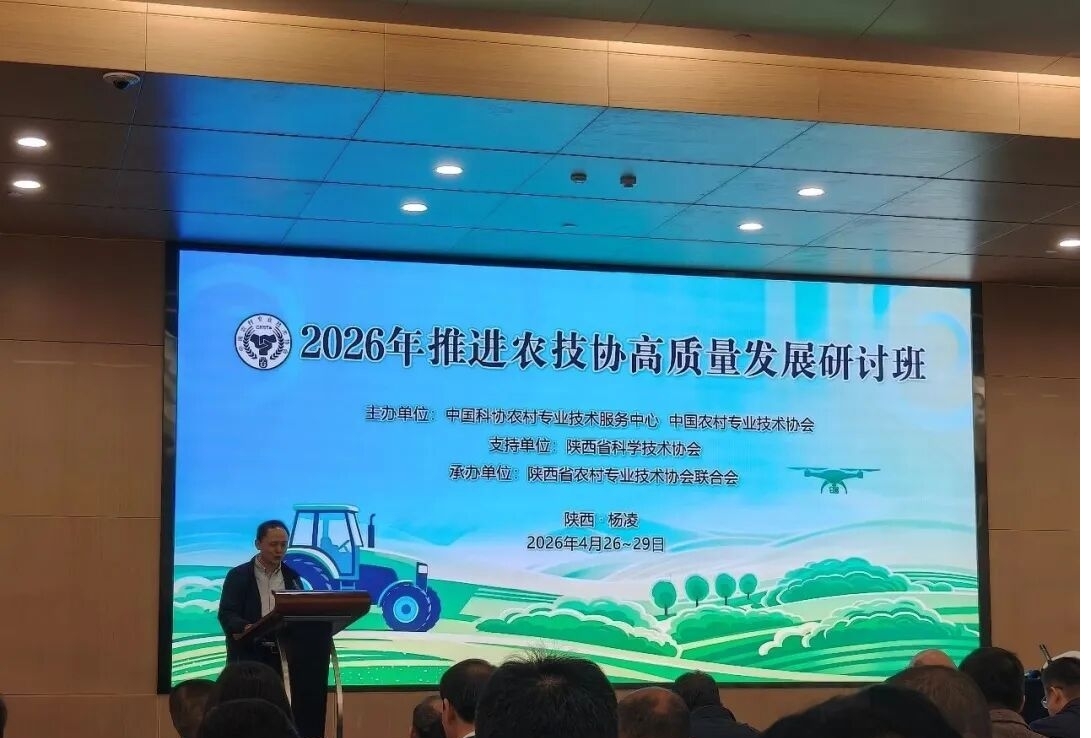 1778058274092029795.jpg 圖片1.jpg