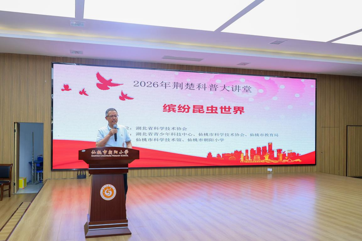 1778661547605055620.png 圖片6.png