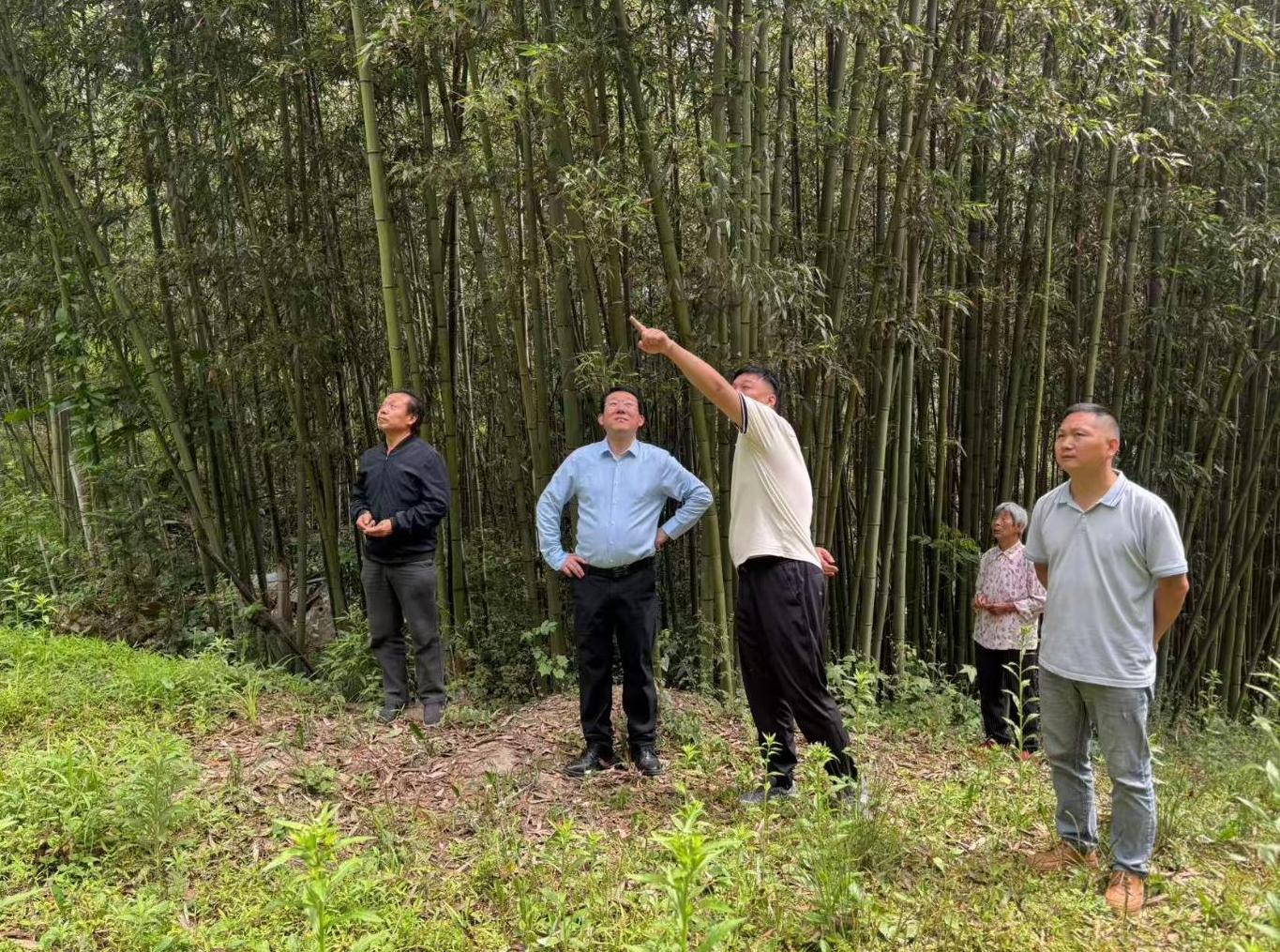 1778829182633093292.jpg 截圖錄屏_選擇區(qū)域_20260515151155.jpg