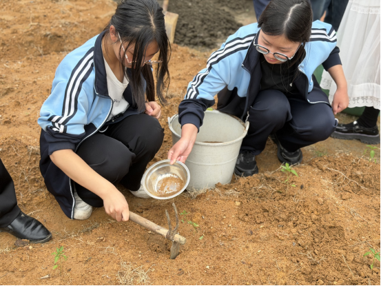 科普點亮青春 科技引領未來——通城縣社科普及周暨低空經濟、航天育種科普進校園活動圓滿舉行360.png