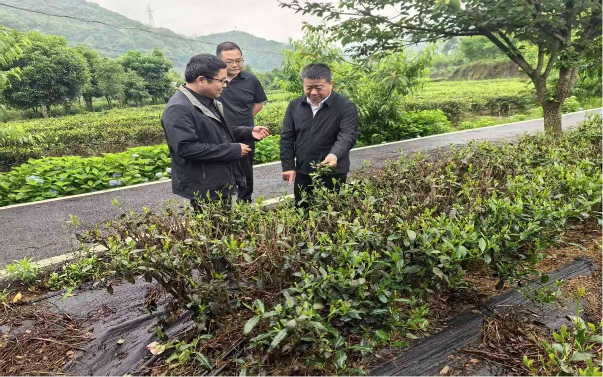 圖片13.jpg