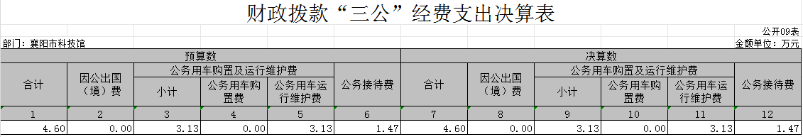 財(cái)政撥款“三公”經(jīng)費(fèi)支出決算表.png