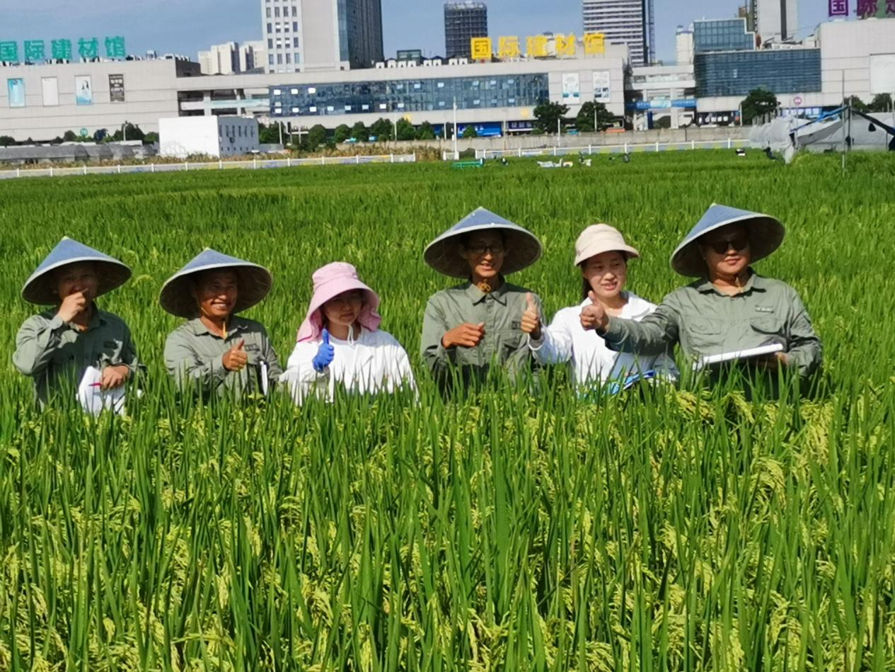 襄陽市農(nóng)業(yè)科學(xué)院水稻創(chuàng)新團(tuán)隊(duì).png